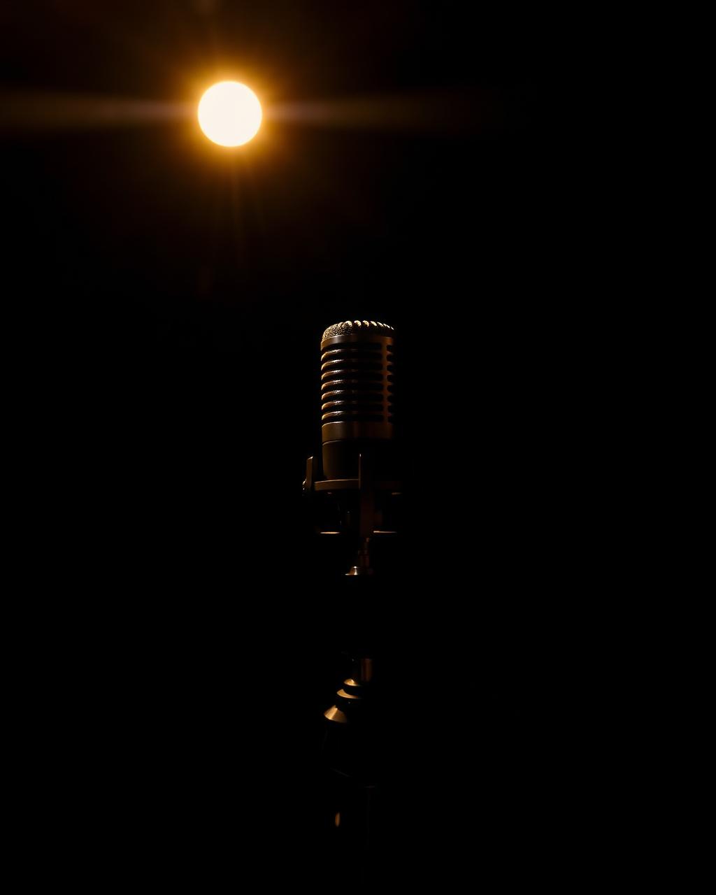 Vintage microphone in a vocal booth